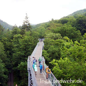 Menschen in Regenkleidung dem Baumwipfelpfad in Bad Harzburg