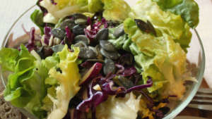 Eine Schüssel mit frischem Salat aus Blattsalat, Rotkohl und Kürbiskernen