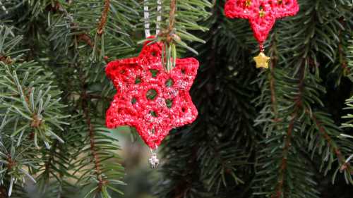 Zwei rote Häkelsterne hängen in einem Weihnachtsbaum